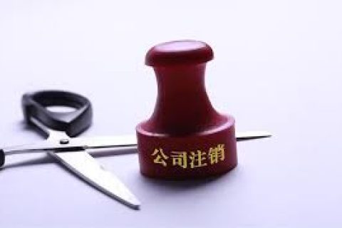 拉薩注銷一個(gè)公司，需要去幾個(gè)部門？整體時(shí)間需要多久？大概流程是怎樣的？