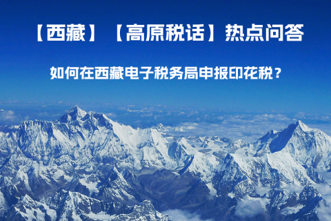 如何在西藏自治區(qū)電子稅務(wù)局申報(bào)印花稅？