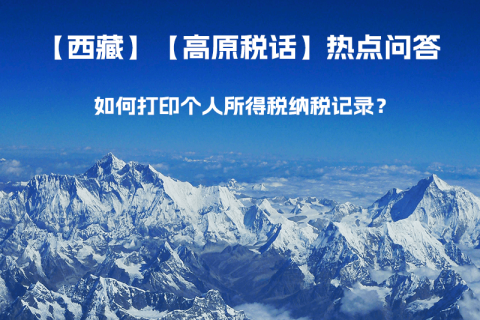 如何打印個(gè)人所得稅納稅記錄？